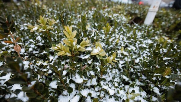    © Sputnik / Osmatesco