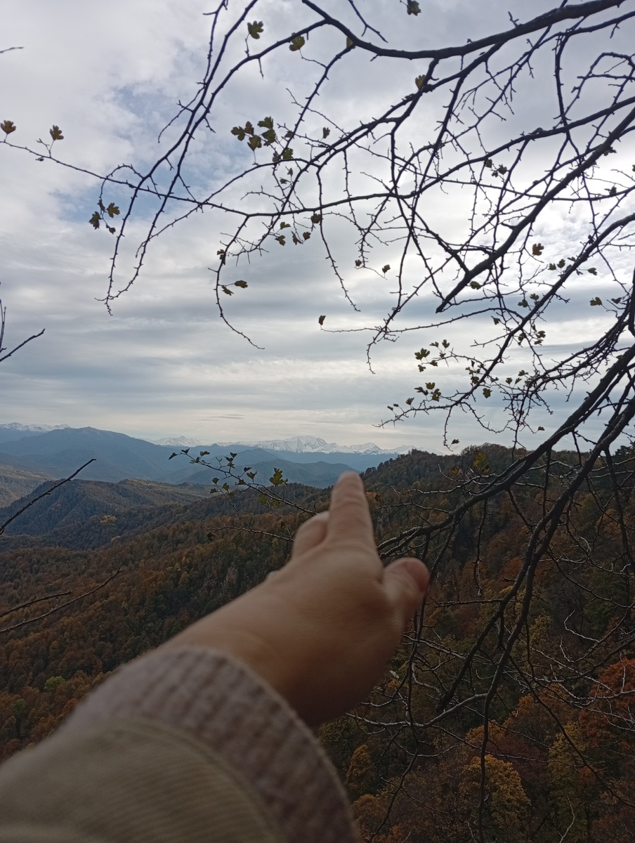 Дорога к плато Лаго-наки  44°03′ с. ш., 40°00′ в. д.