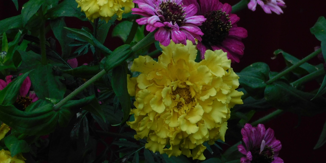 О... Господи, ну как же я любила