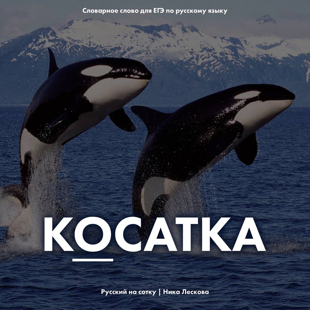 кОсатка - китообразное. Скачать карточки можно в моём телеграм канале