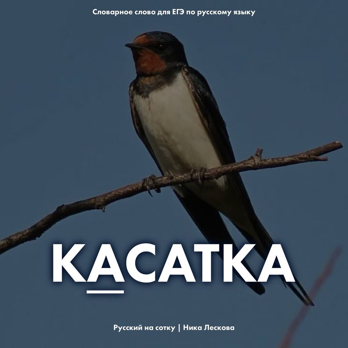 кАсатка - ласточка. Скачать карточки можно в моём телеграм канале