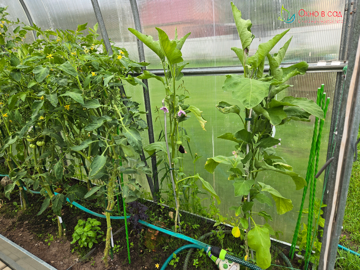 Фото из личного архива автора