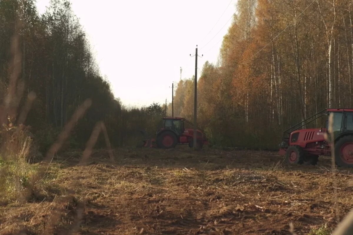    Почти 580 км ЛЭП отремонтировали в Псковской области в 2025 году