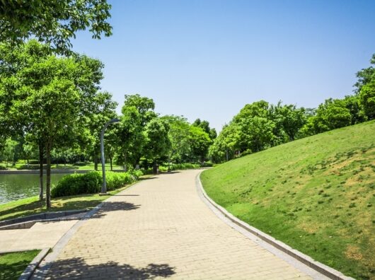    парк // фото: freepik.com