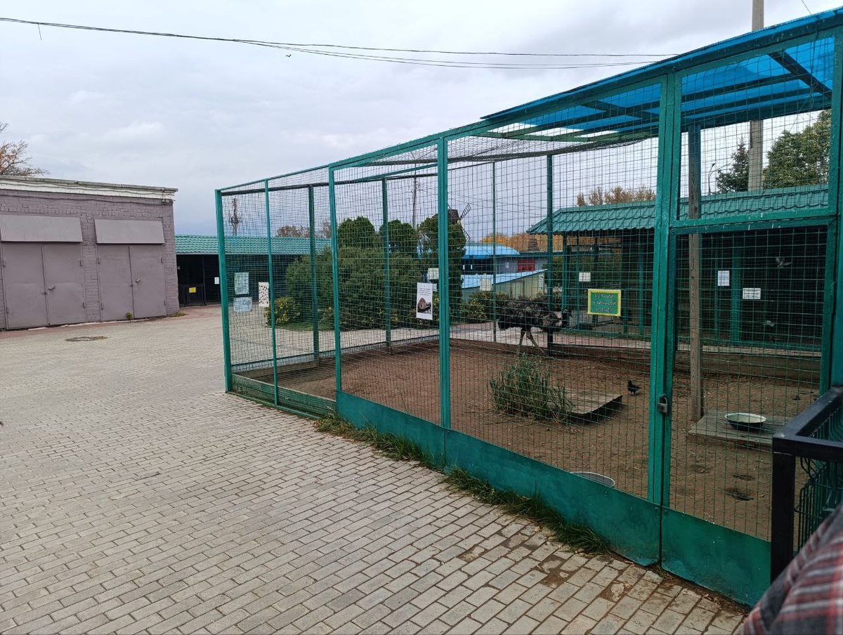 Первые впечатления - не фонтан.