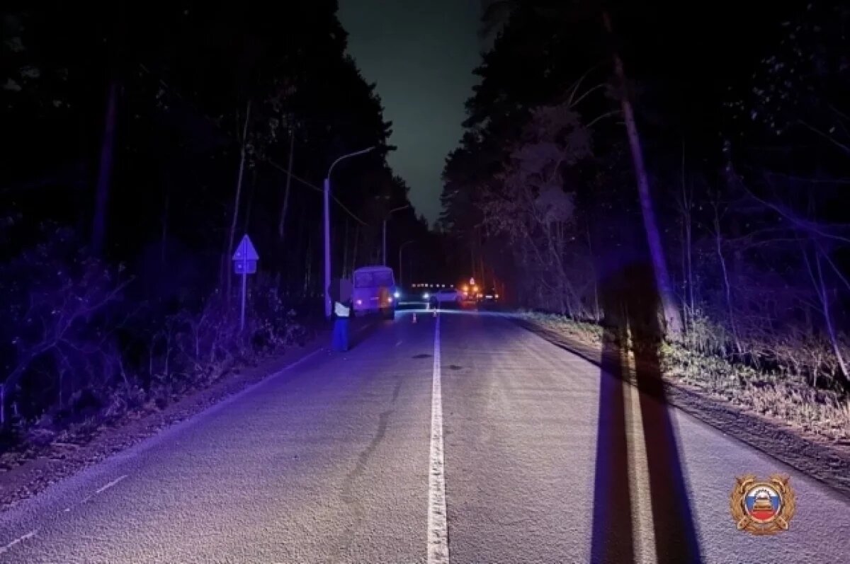    Сбитый автобусом в Тверской области пешеход находится в реанимации