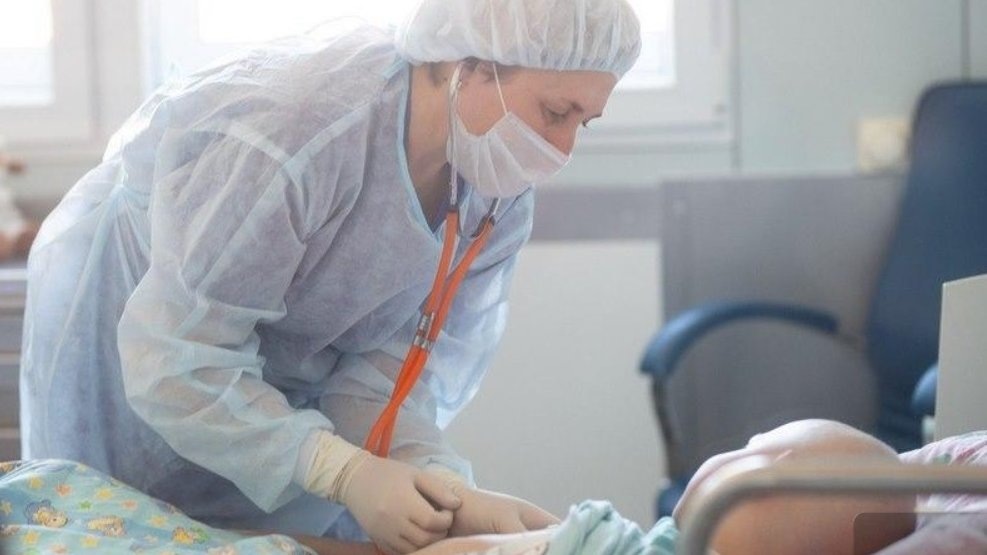    Фото: ДИП Свердловской области