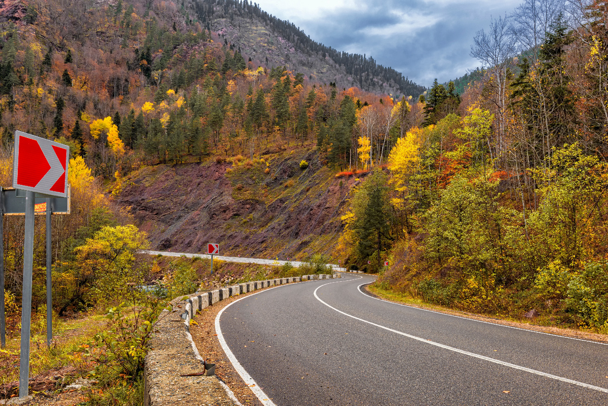 Источник: Vladimir Usharov / Shutterstock