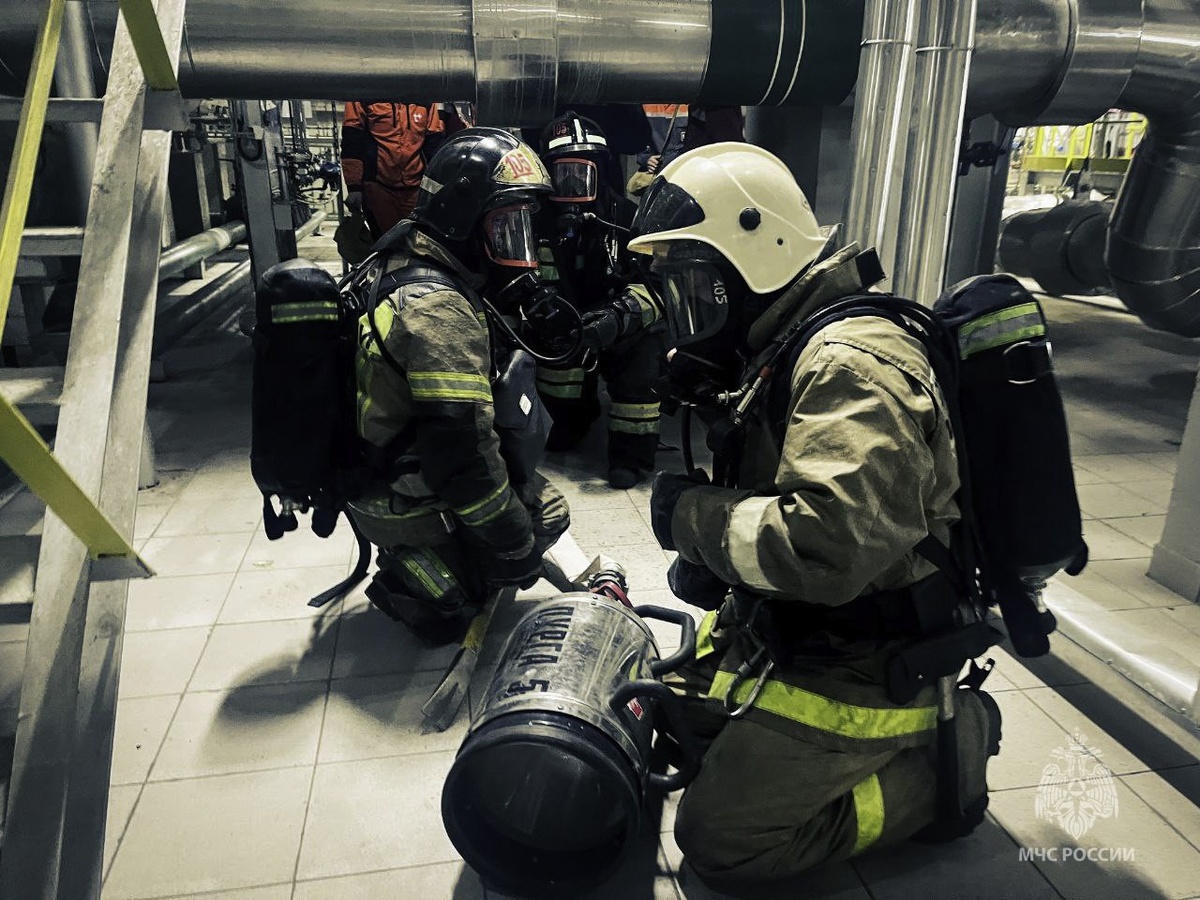     Фото: МЧС по Свердловской области