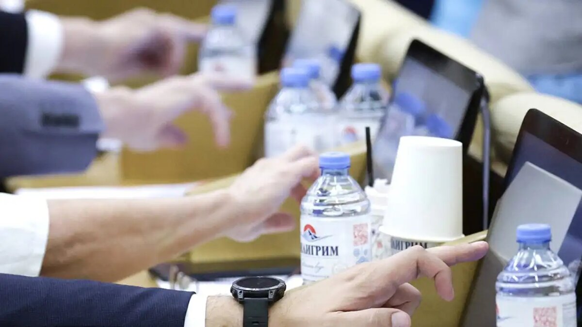     © Госдума РФ