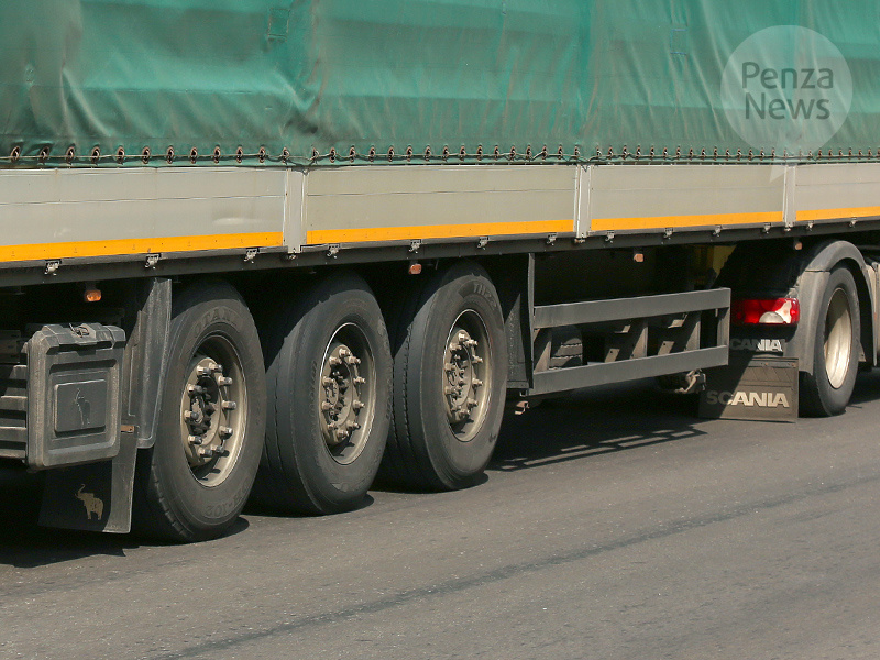   © Фото из архива ИА «PenzaNews»