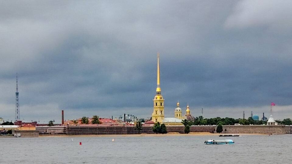 Куда поехать из Питера, если у вас всего один-два свободных дня, дети, коты, острое желание сменить обстановку, а в Петергофе, Выборге и