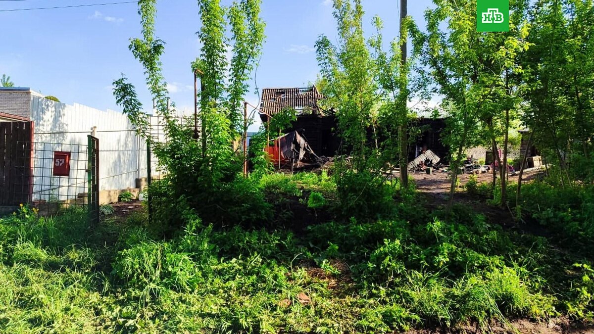    Фото: skr_orel_57 / t.me