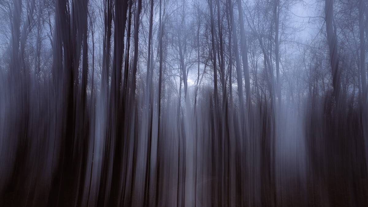    Фото: Анатолий Цымбалюк / Вечерняя Москва