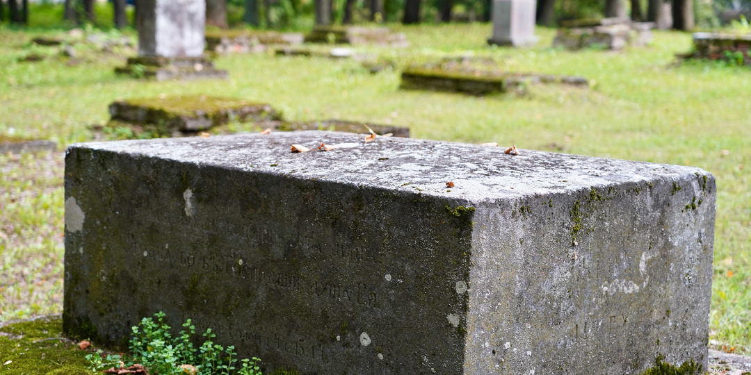 Археологи НовГУ нашли древнее кладбище, которое в XIII веке превратили в распаханное поле