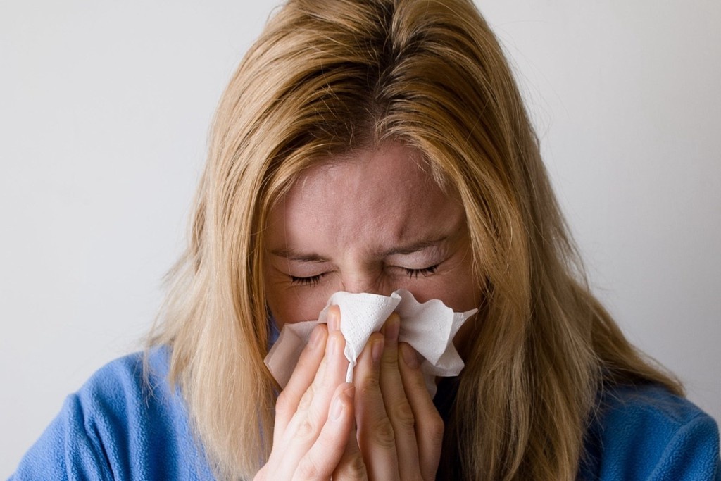    Фото © Pexels.com