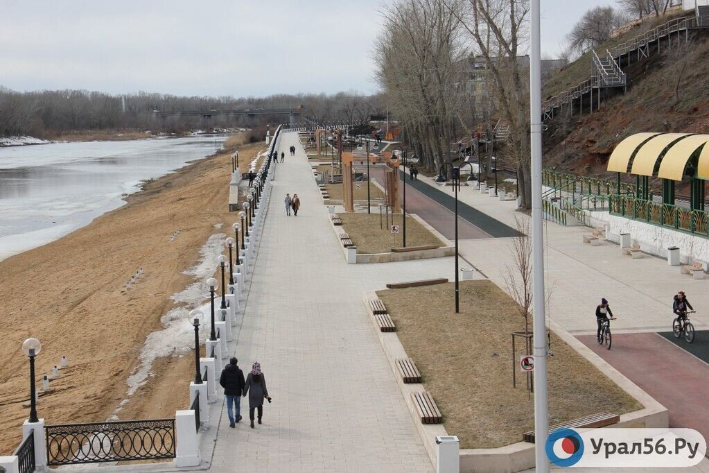    В Оренбурге планируют обновить западную набережную Урала: посадить 52 дерева и устроить газон