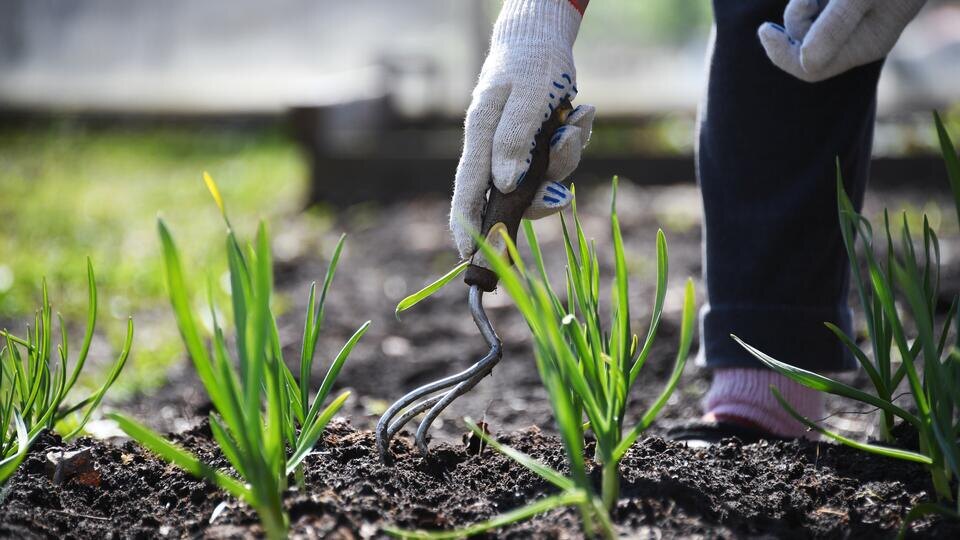 Фото: © РИА Новости/Кирилл Каллиников