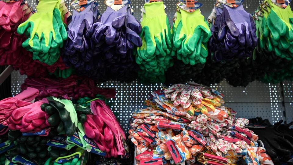 Фото: © РИА Новости/Алексей Филиппов