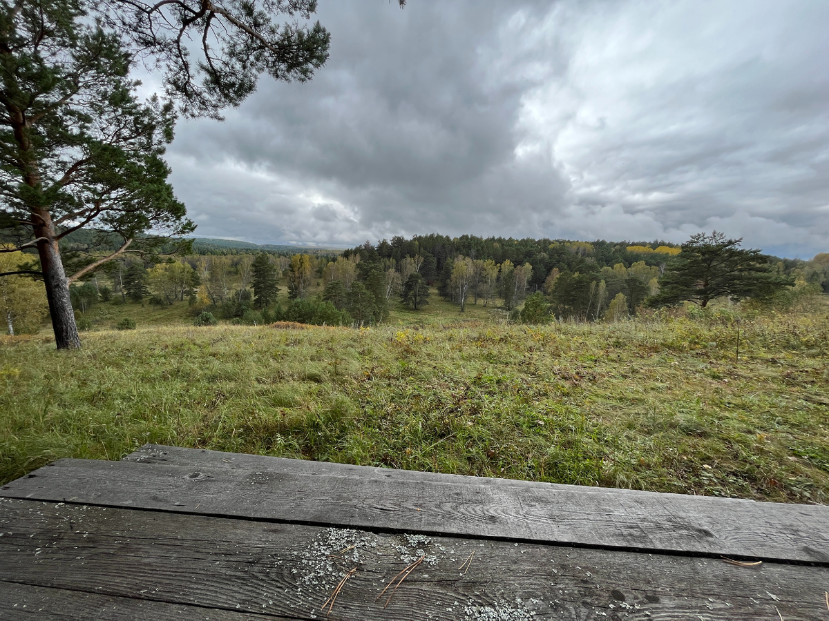 Стол с лавочками в сосновом лесу на холме (1 км от участка)