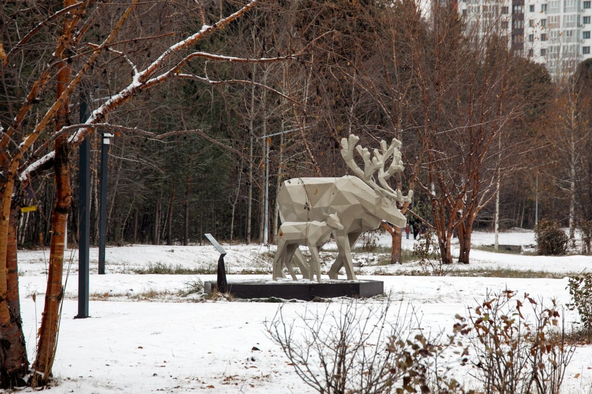    Глава Сургута проверил качество дорожек в парке «За Саймой», проехав на велосипеде