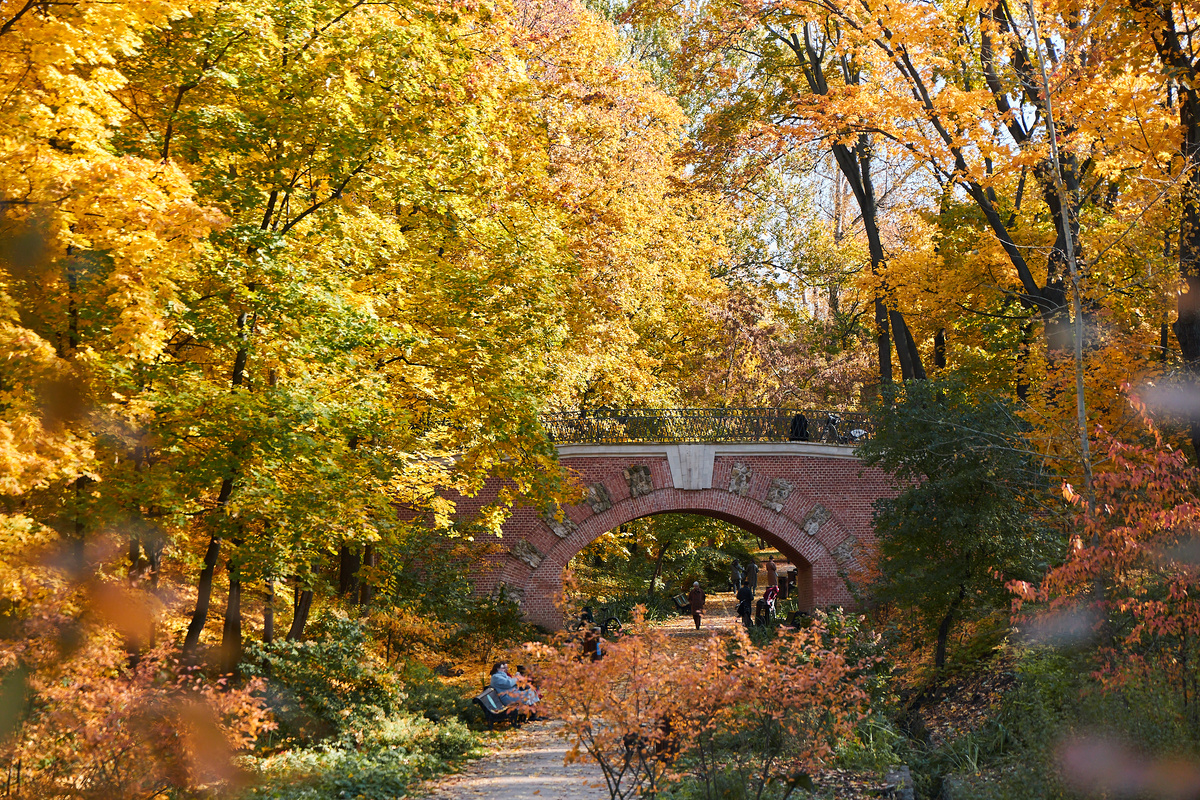 Большой Каменный мост в Нескучном саду