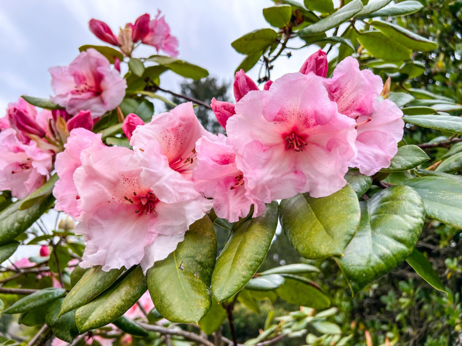    Shutterstock/FOTODOM