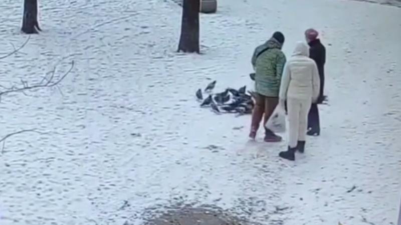    Фото: t.me/dslebedeva_official