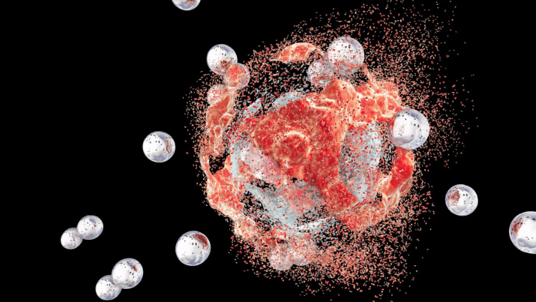 Изображение: Shutterstock