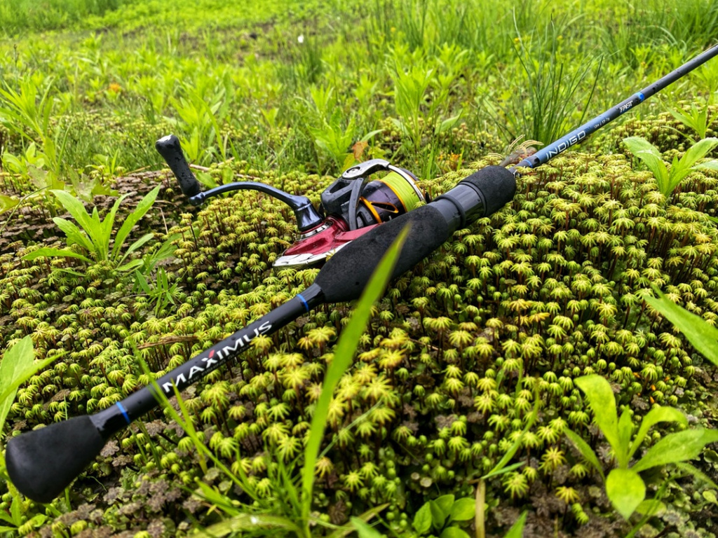 Maximus Indigo Trout – народный выбор!