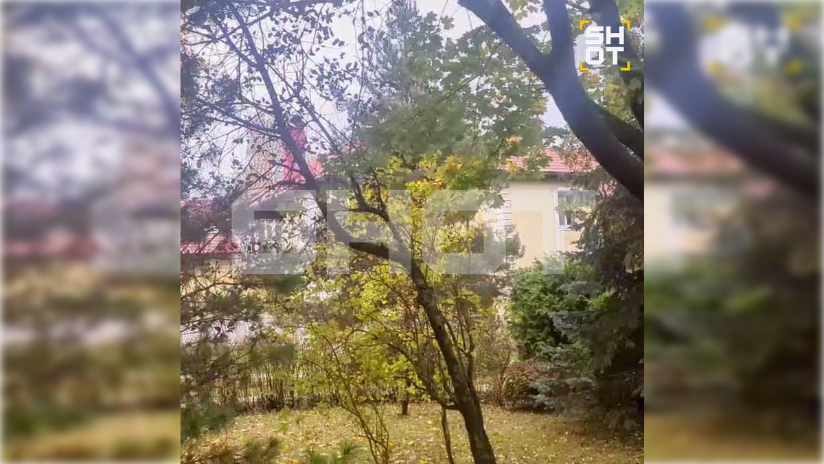 Фото: t.me/shot_shot