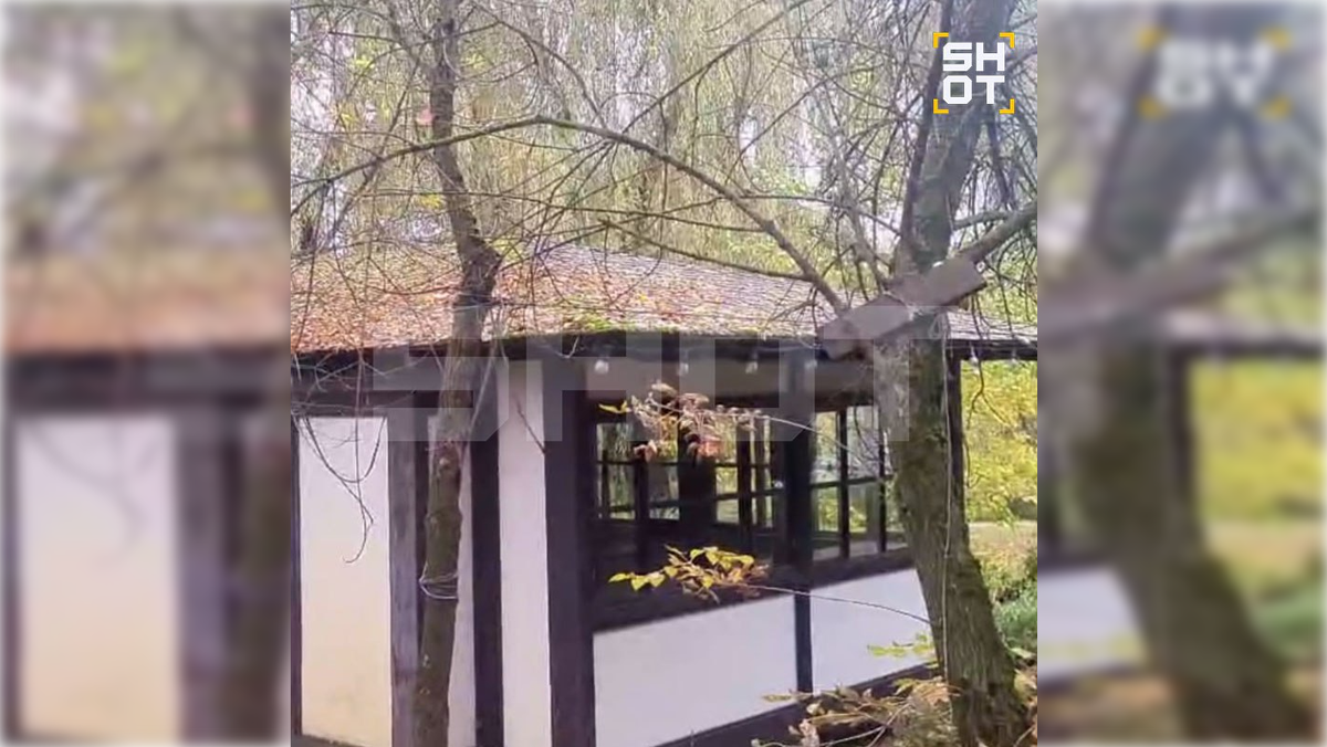 Фото: t.me/shot_shot