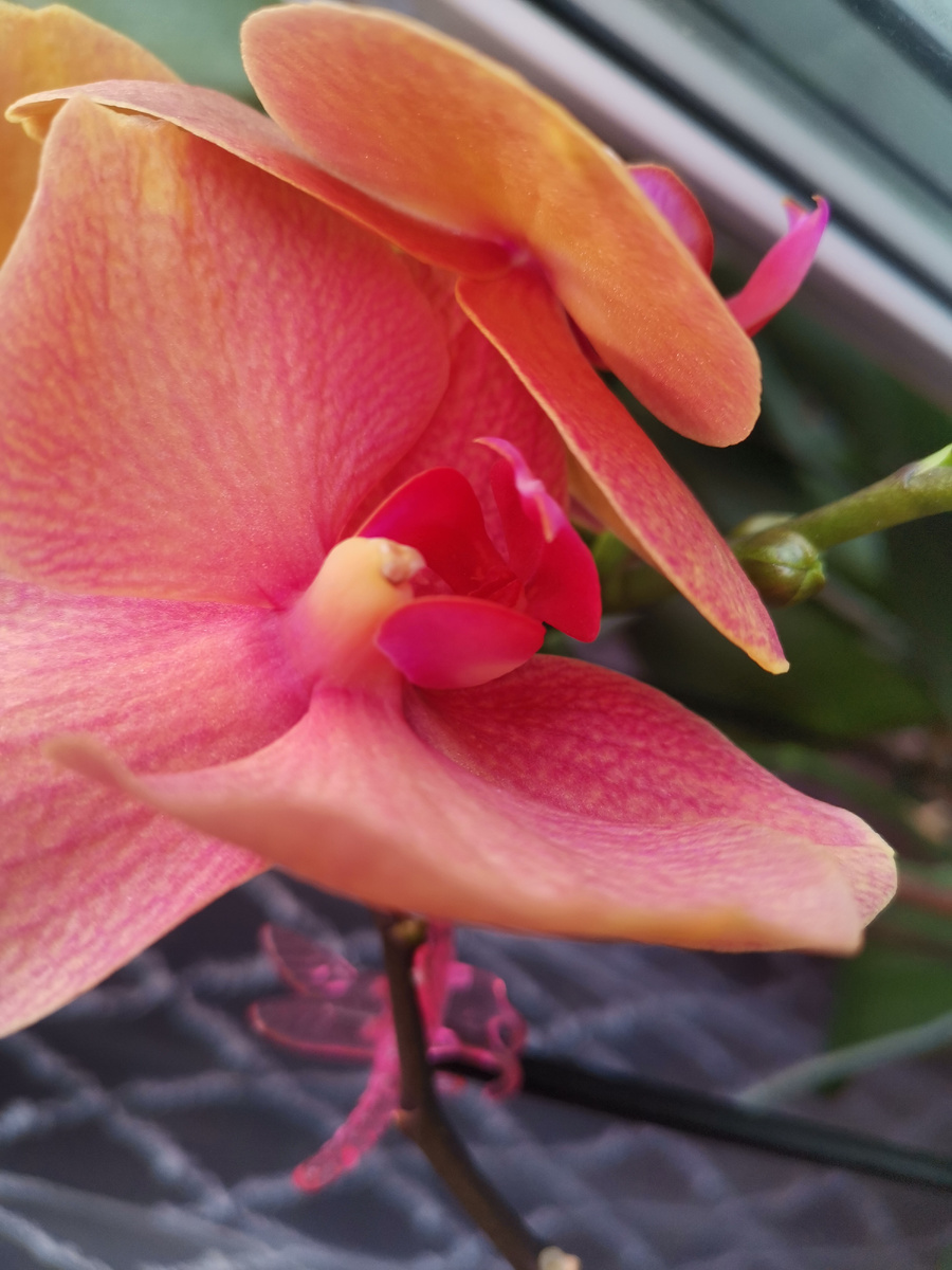 Было фото лучше , не нашла🤷‍♀️