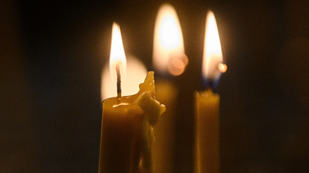    Фото: Ilya Moskovets/URA.RU/Globallookpress