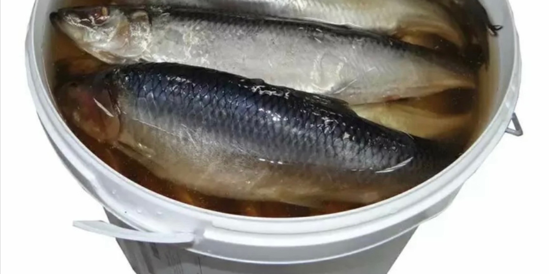 Засол селедки дома