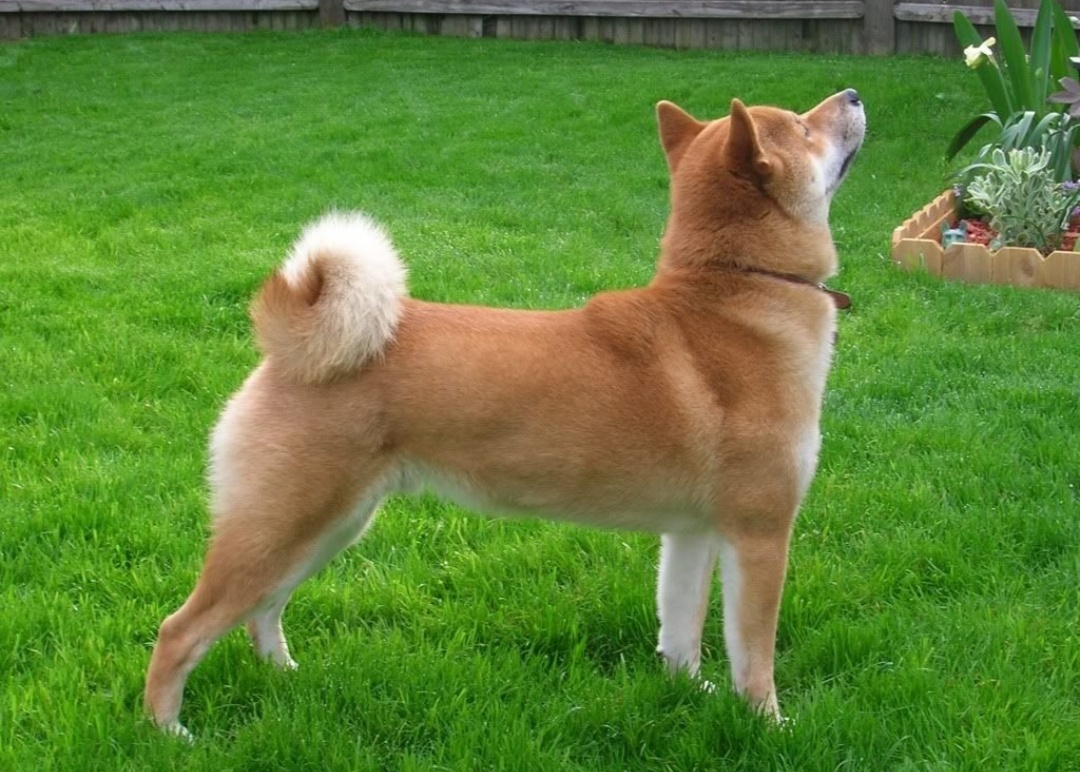 Фото из интернета