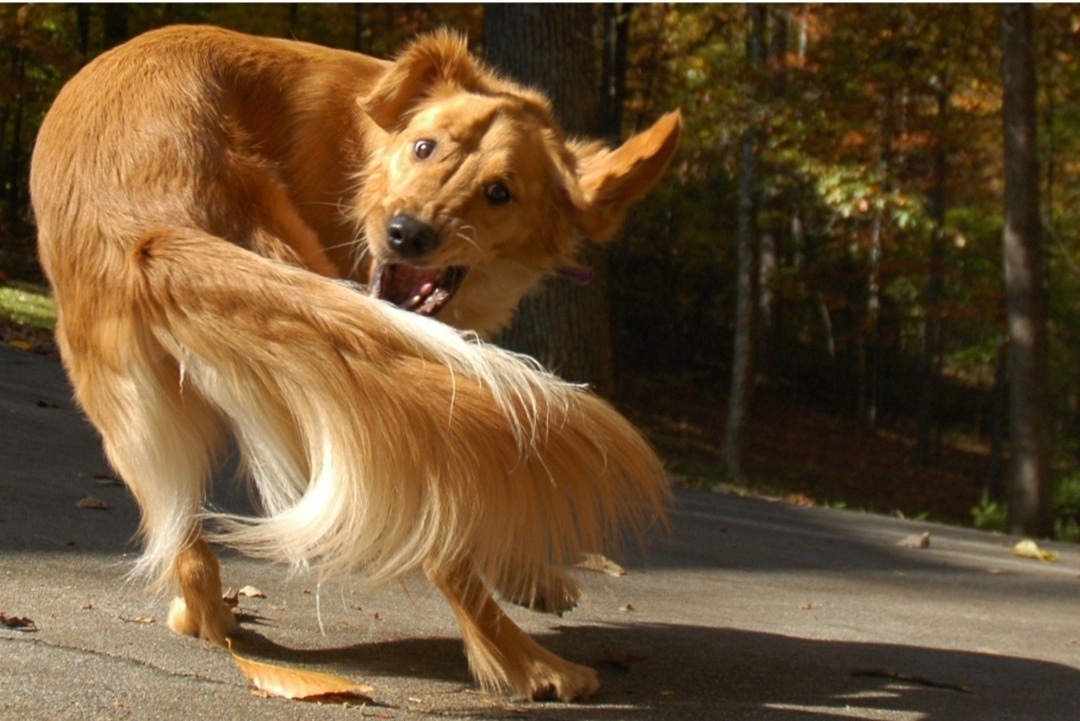 Фото из интернета