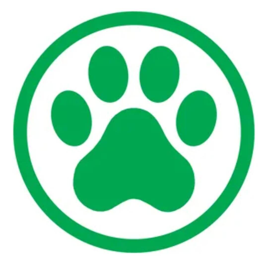 «Здесь можно с кофе. И с другом. Особенно если друг — на поводке» 