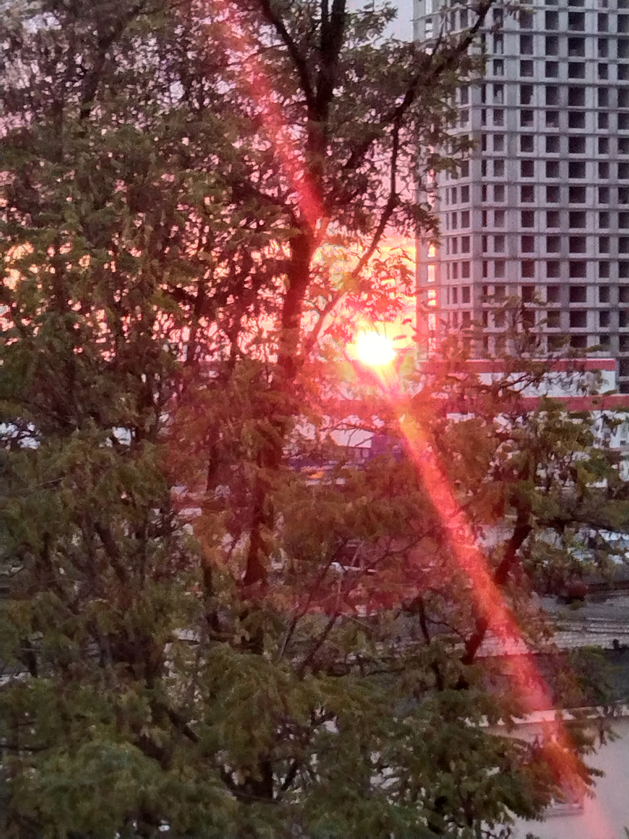 Вид из офисного окна