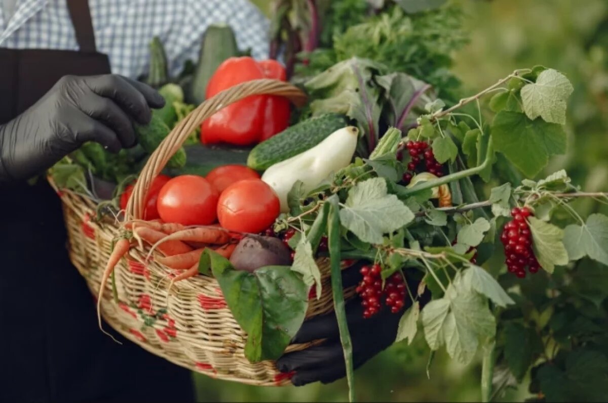    Россельхознадзор проверил свыше 18 тысяч тонн растительной продукции