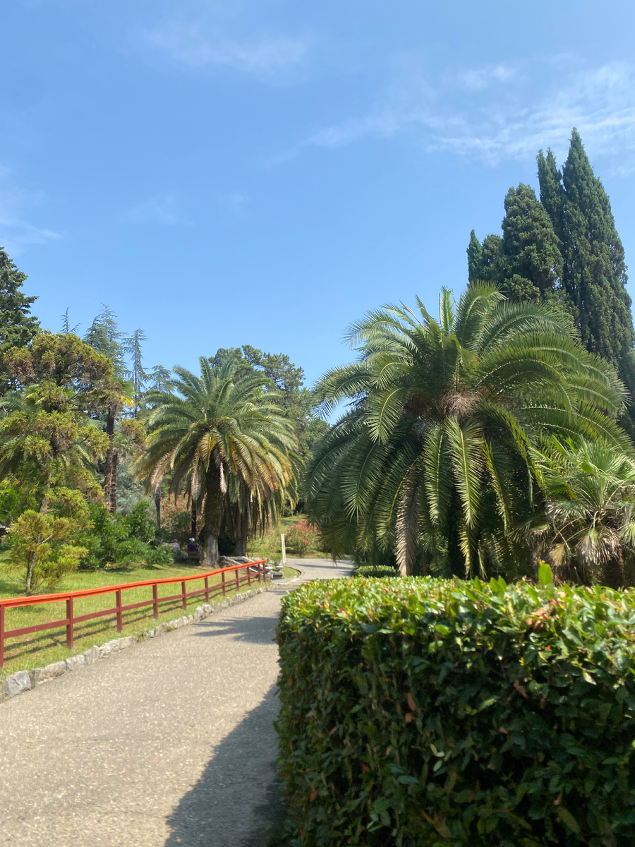 Сочинский дендрарий 