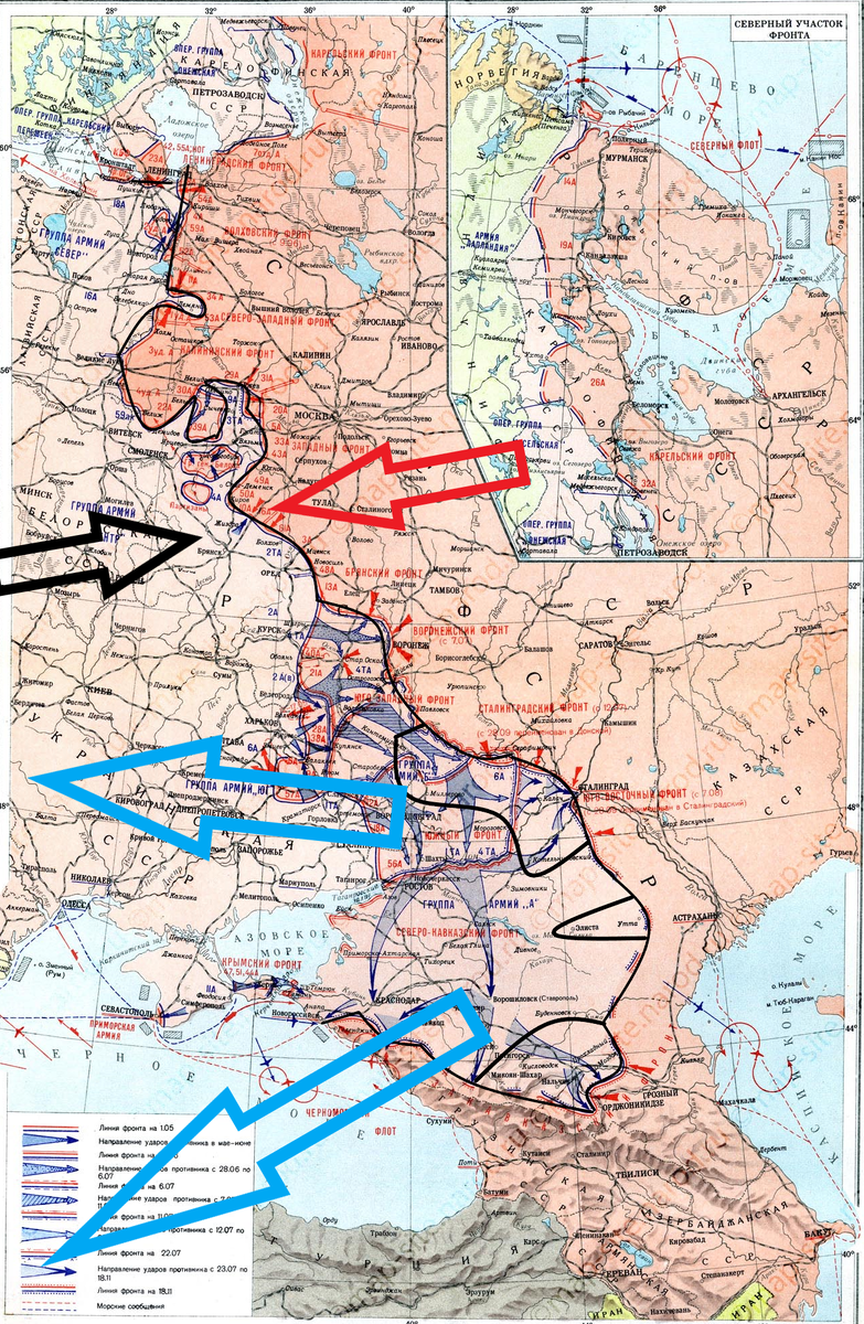 (Фото взято из открытых источников).