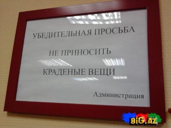 Яндекс картинки