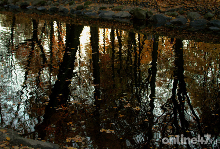 фото: Мария Владыко/Online47