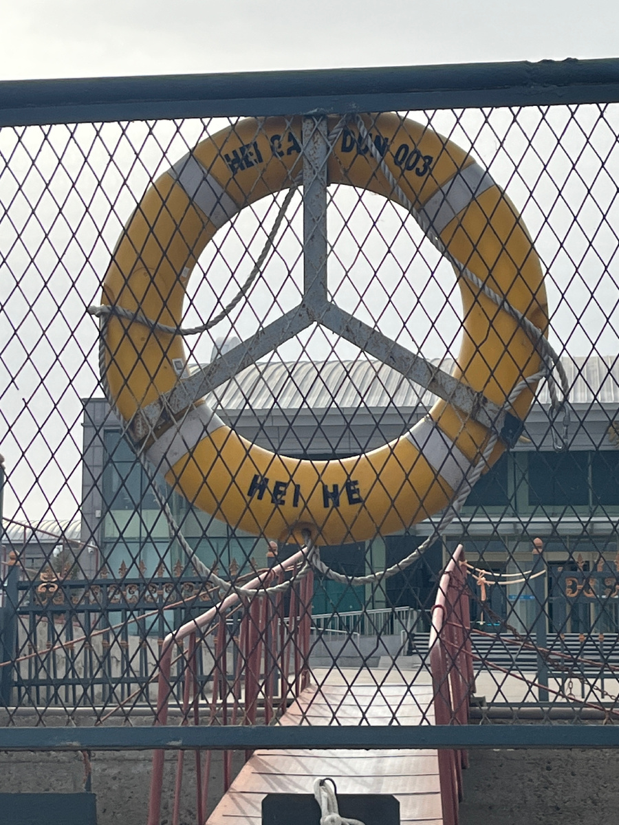 ©️фото Basset-hound forever