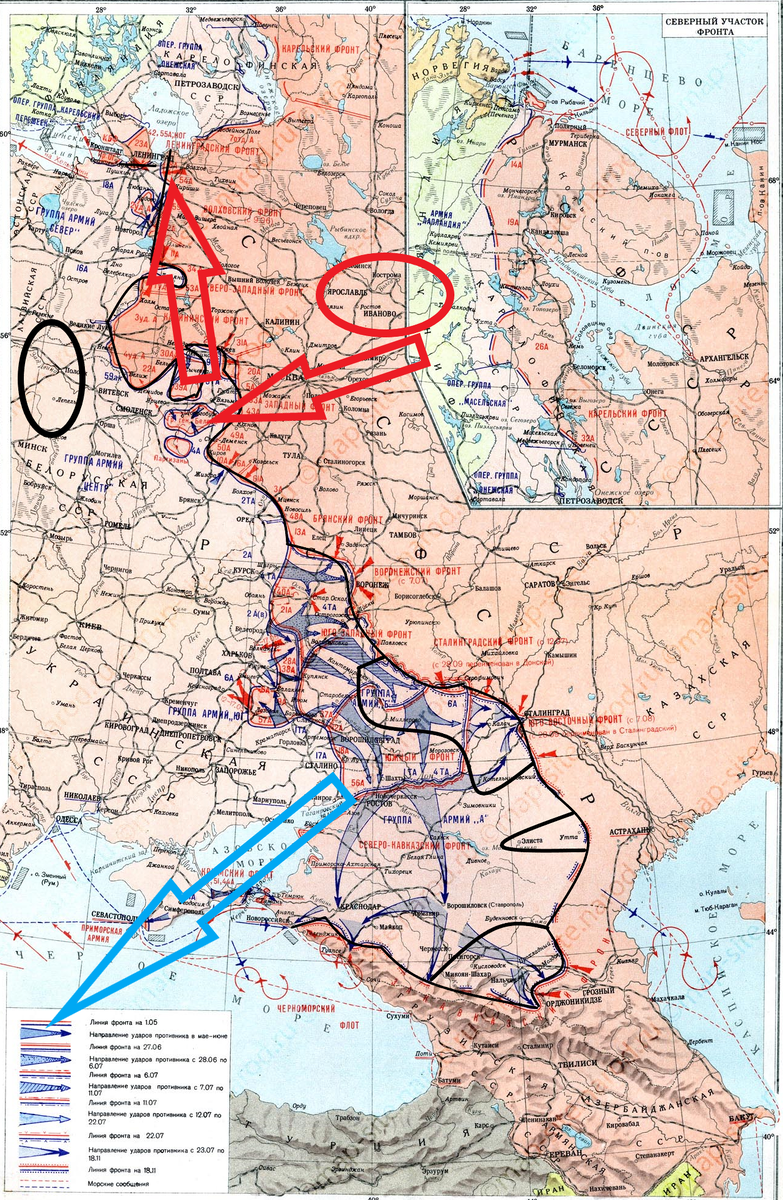 (Фото взято из открытых источников).