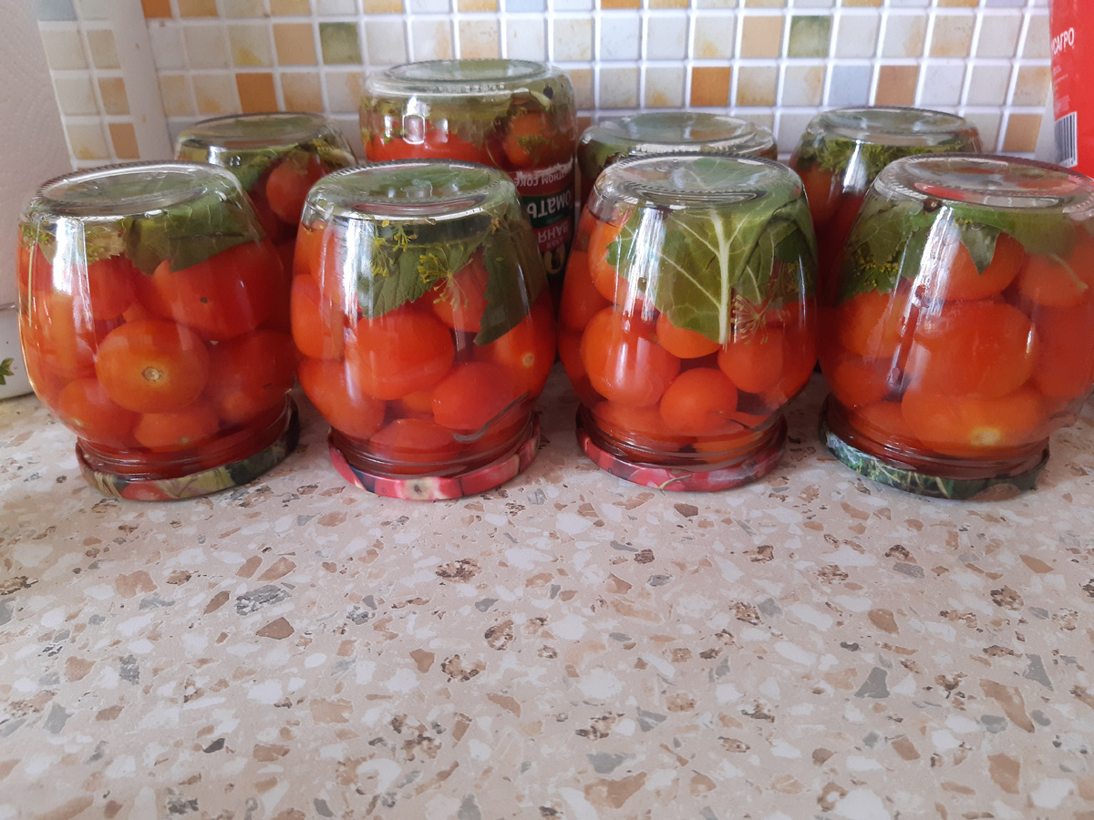 Фото из личного архива автора. Красная шапочка