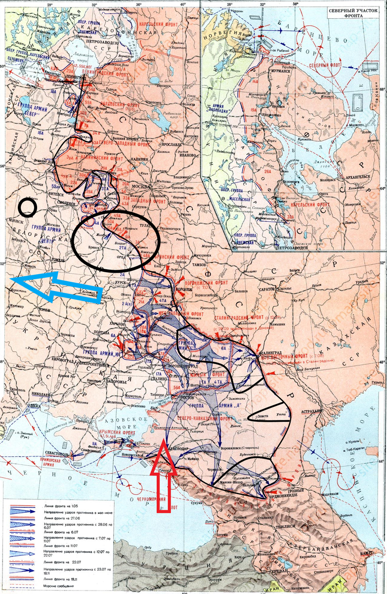 (Фото взято из открытых источников).