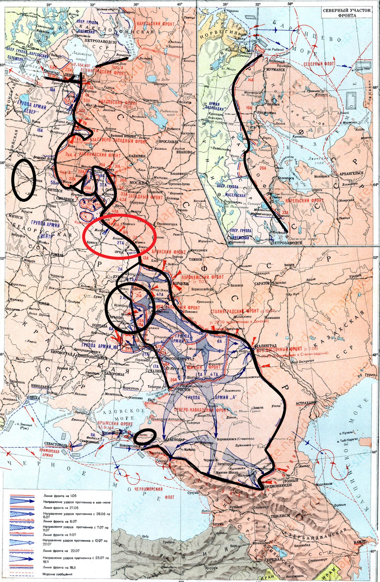 (Фото взято из открытых источников).