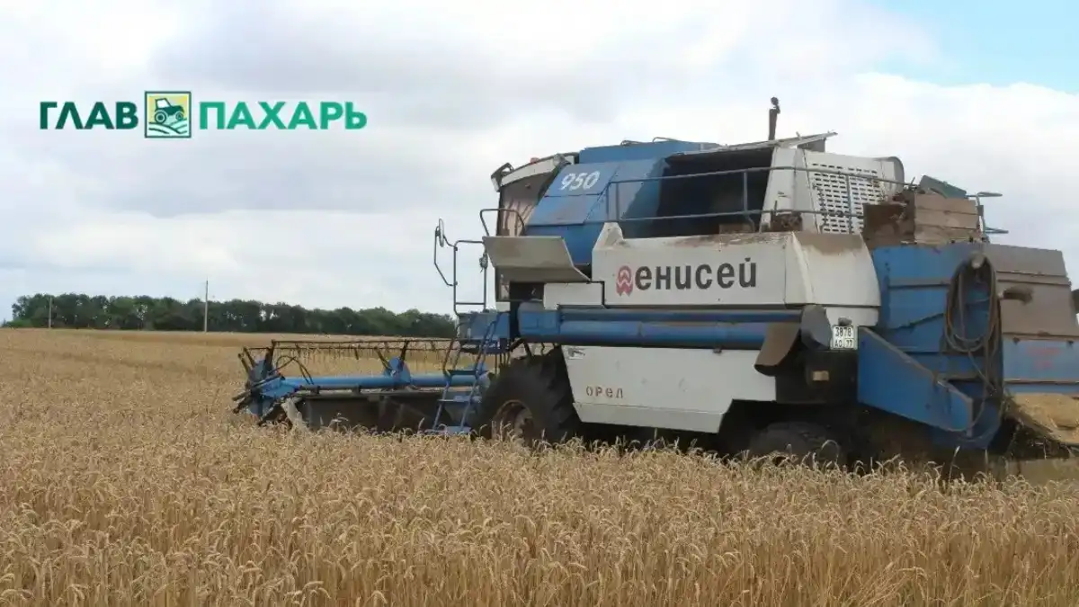 Фото: © Артем Борисов / Glavpahar.ruВ донском АККОР предложили придумать, как компенсировать потерянные из-за утильсбора деньги аграриям (фото иллюстративное)